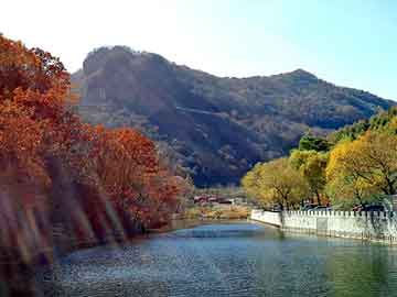 澳门天天免费精准大全，家居论坛